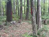 1446 Moncove Lake Access Rd - Photo 28