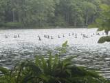 1446 Moncove Lake Access Rd - Photo 3