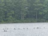 1446 Moncove Lake Access Rd - Photo 4