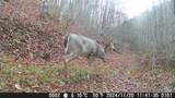 8321 Leonard-Cordova Rd - Photo 16