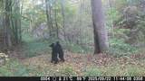 8321 Leonard-Cordova Rd - Photo 18
