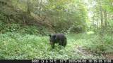 8321 Leonard-Cordova Rd - Photo 19