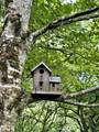 308 Erehwon Dr - Photo 49