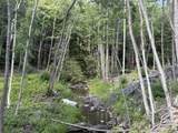 151 Acres Rt 20 Pipestem Falls - Photo 10