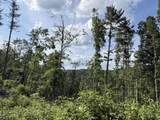 151 Acres Rt 20 Pipestem Falls - Photo 13