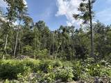 151 Acres Rt 20 Pipestem Falls - Photo 16