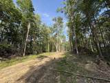 151 Acres Rt 20 Pipestem Falls - Photo 17
