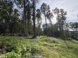 151 Acres Rt 20 Pipestem Falls - Photo 19