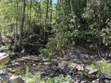 151 Acres Rt 20 Pipestem Falls - Photo 2