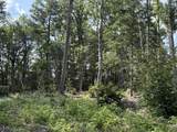 151 Acres Rt 20 Pipestem Falls - Photo 24