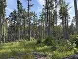 151 Acres Rt 20 Pipestem Falls - Photo 25