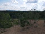 151 Acres Rt 20 Pipestem Falls - Photo 29