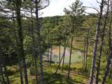 151 Acres Rt 20 Pipestem Falls - Photo 3