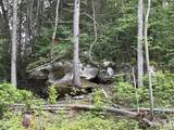 151 Acres Rt 20 Pipestem Falls - Photo 33