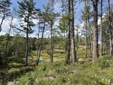 151 Acres Rt 20 Pipestem Falls - Photo 4