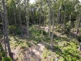 151 Acres Rt 20 Pipestem Falls - Photo 47