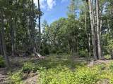 121 Acres Rt 20, Pipestem - Photo 10