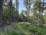 121 Acres Rt 20, Pipestem - Photo 13