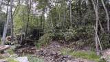 121 Acres Rt 20, Pipestem - Photo 4