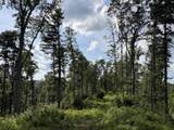 121 Acres Rt 20, Pipestem - Photo 8