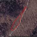 9300 Bug Ridge Rd - Photo 12