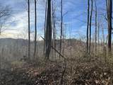 9300 Bug Ridge Rd - Photo 15
