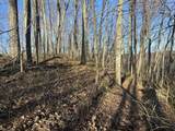 9300 Bug Ridge Rd - Photo 16
