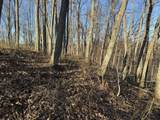9300 Bug Ridge Rd - Photo 17