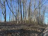 9300 Bug Ridge Rd - Photo 18