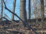 9300 Bug Ridge Rd - Photo 3