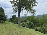 196 Old White Trail - Photo 49