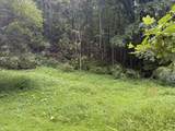 71 Catawba Rd - Photo 2