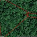 Coal River Lot 12 - Photo 10