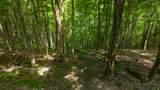  Kates Mountain Rd - Photo 9