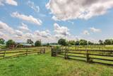 829 Low Gap Rd - Photo 91
