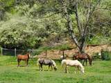 3627 Sampson Road - Photo 5