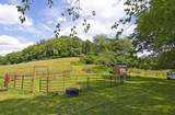 3627 Sampson Road - Photo 81