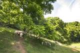 3627 Sampson Road - Photo 95