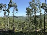  Suck Creek Road - Photo 10
