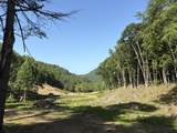  Suck Creek Road - Photo 13