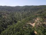  Suck Creek Road - Photo 22