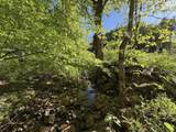  Suck Creek Road - Photo 39