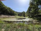  Suck Creek Road - Photo 43