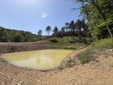  Suck Creek Road - Photo 44