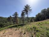  Suck Creek Road - Photo 46