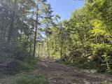  Suck Creek Road - Photo 49