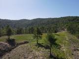  Suck Creek Road - Photo 5