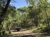  Suck Creek Road - Photo 50