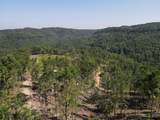  Suck Creek Road - Photo 7