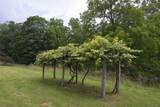 6412 Denmar Rd - Photo 80